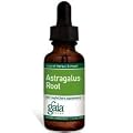 Gaia Herbs Astragalus Root