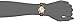 Citizen Women's EW1272-01P Eco-Drive Gold-Tone Stainless Steel Watch with Brown Leather Band