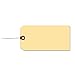 Avery Shipping Tags with Wire, 11.5 pt. Stock, 2-3/4