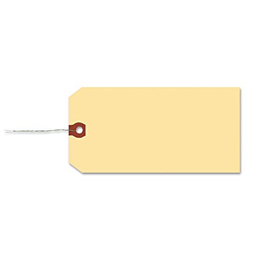 Avery 12601 Double Wired Shipping Tags, 13pt. Stock, 2 3/4 x 1 3/8, Manila (Box of 1000)