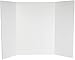Royal Brites Two Cool Project Board, 2 Cool Colors Corrugated Board, 28x40 Inches, White, (12 Pack)