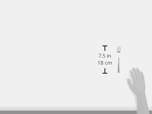 Winco 0014-05 12-Piece Dominion Heavy Weight Dinner Fork Set, 18-0 Stainless Steel - //medicalbooks.filipinodoctors.org