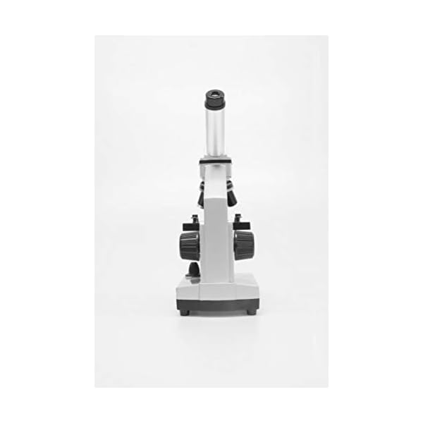 Bresser Junior Mikroskop Set Biolux DE 40x-1024x für Kinder und Erwachsene mit hoher Vergrößerung, inklusive USB Kamera… – Bild 5