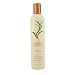 Abba Trumint Light Daily Conditioner for Unisex, 12.0 Ounce