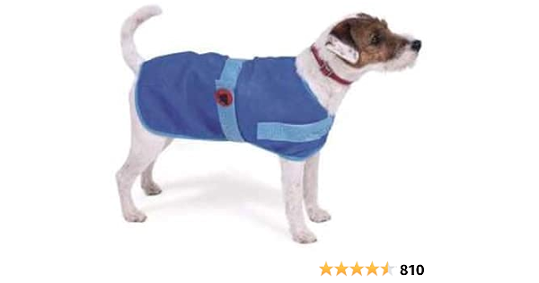 dog summer coat