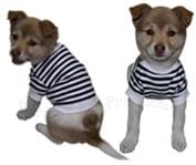 Dog T-Shirt