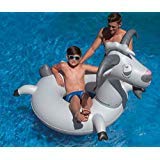 Swimline Inflatable Goat Swim Ring, Grey