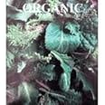 Hart Seed Organic Kale Nancy's Baby Leaf Blend 1.5G