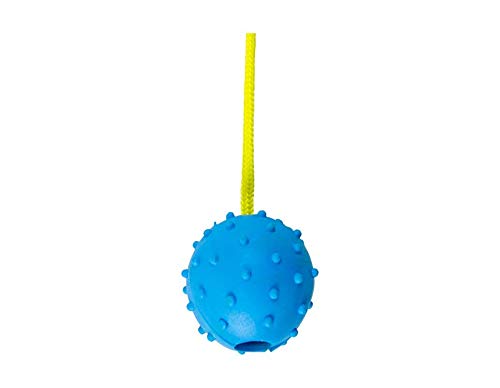 Kingdom Dog Pull & Tug Toy 6.5cm Ball and Strong Rope