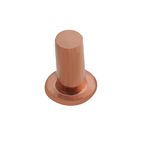 Aicosineg 100pcs 0.24" Length Copper Solid Rivets