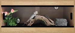 Terapod Slim Vivarium, Oak 36