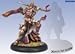 Privateer Press Warmachine: Protectorate: Thyra Flame of Sorrow Model Kit