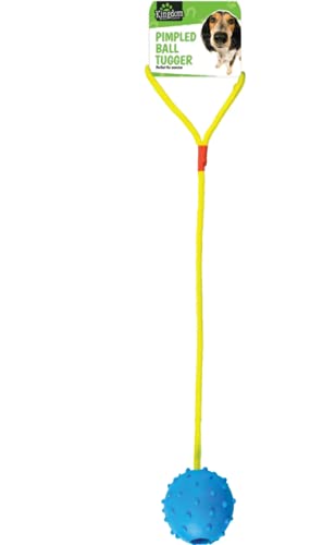 Kingdom Pimpled Ball Tugger Toy on Rope for Dogs (Blue)