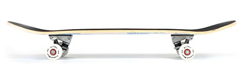 X-Free-Skateboards-31-Inches-Complete-Skateboards-for-Beginners