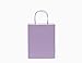 12CT Medium Pastel Assorted Biodegradable, Food Safe Ink & Paper, Premium Quality Paper (Sturdy & Thicker), Kraft Bag with Colored Sturdy Handle (Pastel, 12Ct Medium)