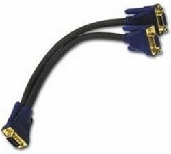 CTG-29610