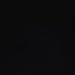 Deluxe Black Wood Elongated Toilet Seat