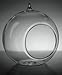 Hinterland Trading Hanging Glass Round Terrarium for Decoration