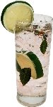 Flora-cal Products Mojito Fake Drink Glass Fake Drink