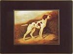 Lady Clare Traditional Tablemats Sporting Dogs, Green