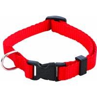 Westminster Pet 31401 Cat And Puppy Collar