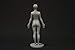 Female Anatomy Figure Collection: Planar, Ecorche and Skin - Anatomical Reference for Artists