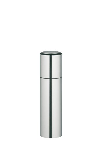 Salt grinder