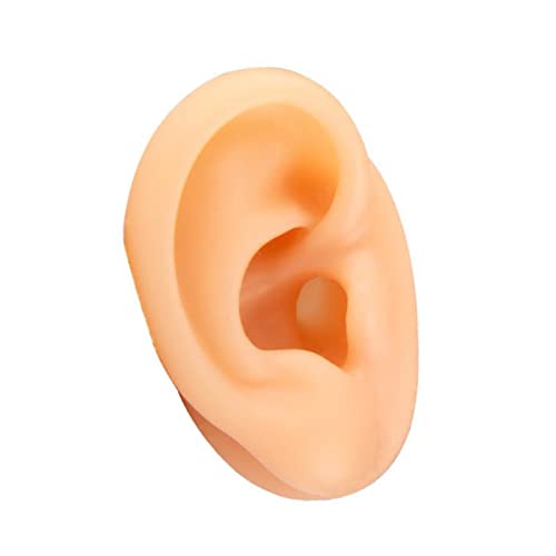 Human Ear Model Silicone Right Ear