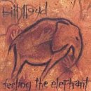 Feeling the Elephant