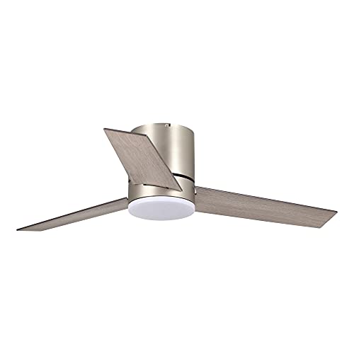 Parrot Uncle Ceiling Fans with Lights and Remote
