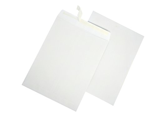 2 AmazonBasics+Catalog+Envelopes+White+100+Pack