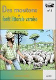 Des  moutons en forêt littorale varoise