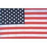 thumbnail image 2 of 100ft USA American Flags Bunting – Stars & Stripes – 4th July Party Decor – 10m 2 of 2
