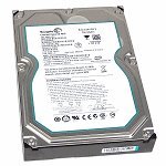 Seagate Barracuda ES 750 GB 7200RPM SATA 3Gb/s 32 MB Cache 3.5 Inch Internal Hard Drive ST3750330NS-Bare Drive