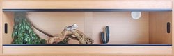 Terapod Slim Vivarium, Beech 48