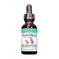 Herbs For Kids Echinacea/Golden Root