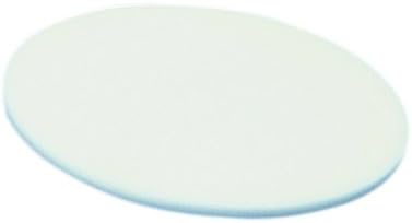 CoorsTek 65631 High-Alumina Disc, 25mm OD, 2mm Thick