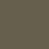 PANTONE SMART 18-0521X Color Swatch Card, Burnt Olive