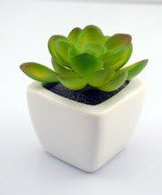 Iplant Artificial Like-real Plant Car and Multiple-used Ornament (Treasure Lotus)