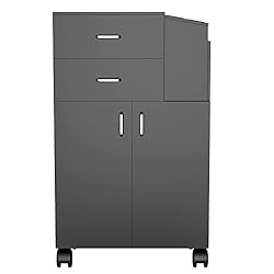 Paddie Salon Trolley Cart with Wheels, 2 Drawer