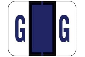 Doctor Stuff - File Folder Labels, Alphabet Letter G, Compatible with Smead BCCR/BCCS - TPAM Series, Purple, 1" x 1-1/4", 500/Roll