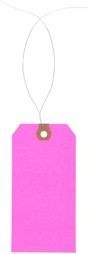 Aviditi Pre Wired Shipping Blank Tag, 13 Point Cardstock, 4-3/4" H x 2-3/8" W, Fluorescent Pink (G12053E)