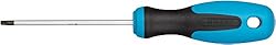 Hazet 810-T10 Screwdriver Torx T10