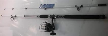 10ft rod and reel combo