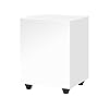 Pro-Ject Sub Box 50, compacte actieve subwoofer met lage en hoge niveau-input (wit)