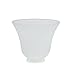 Aspen Creative 23026-4 Transitional Style Replacement Glass Shade, Frosted