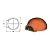 Pizza Oven Kit