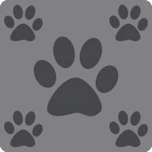 Grey with Charcoal Multi-Paws