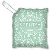 Scentsy Scent Pak Aloe Water &amp; Cucumber