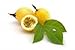Fresh Yellow Golden Passion Fruit (3lbs)